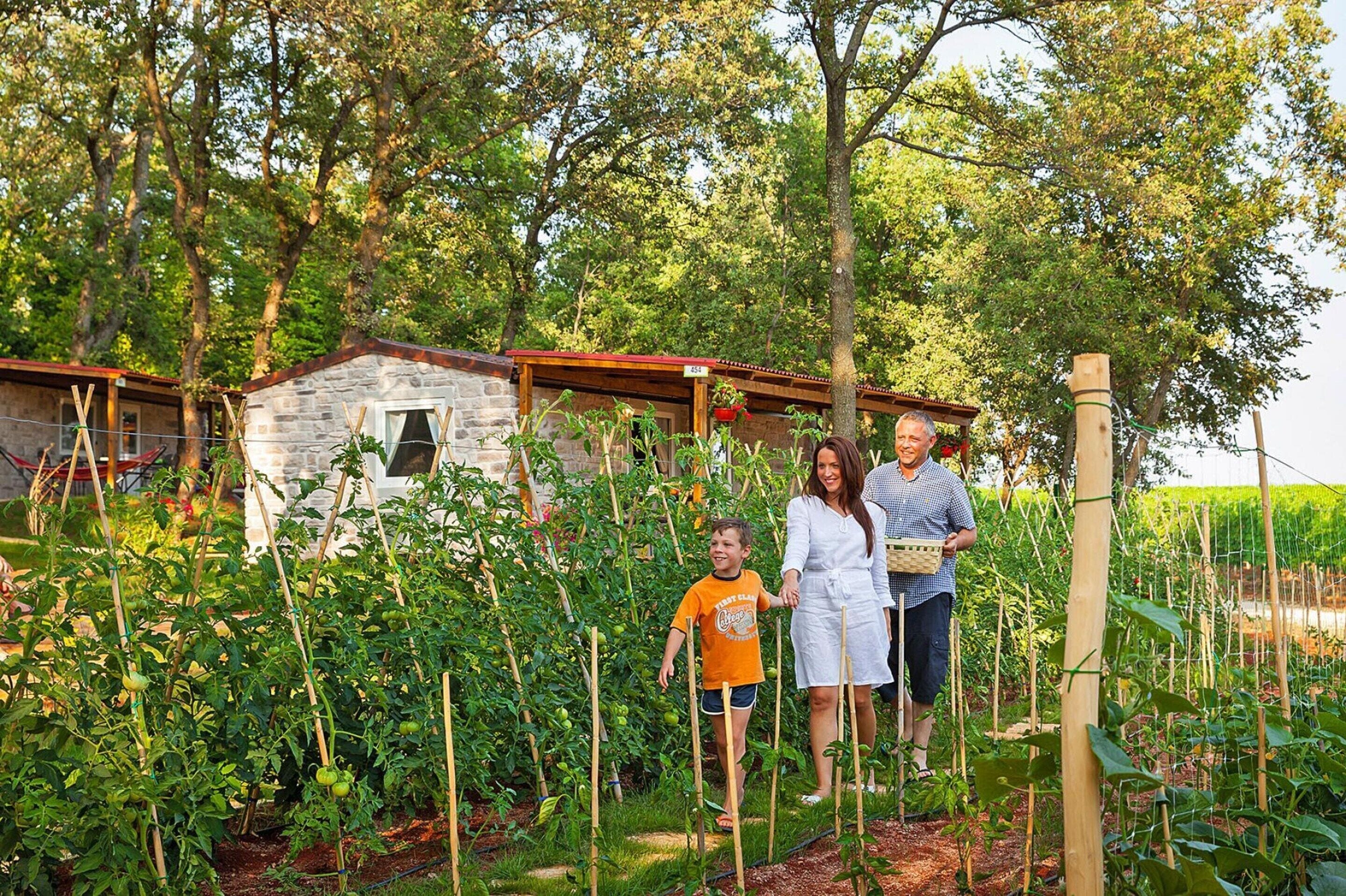 المنطقة المحيطة بالمنشأة