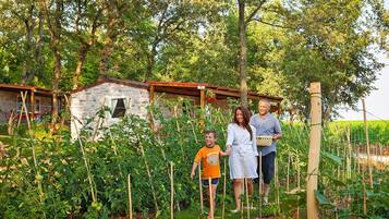 Mobile Home | Property grounds