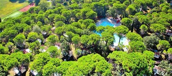 คาราวาน พาร์ค เบลเวเดเร, กราโด