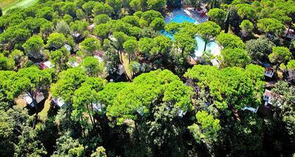 Caravan Park Belvedere, Grado