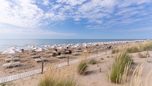 Una playa con hileras de sombrillas y sillas de playa, un paseo de madera y dunas de arena.