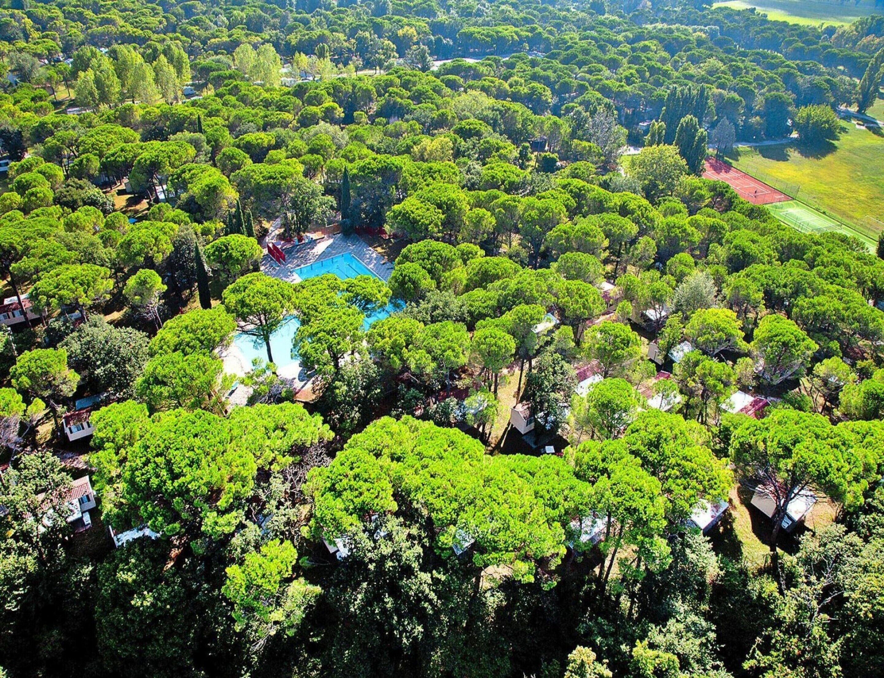 Maison mobile | Vue depuis l’hébergement 