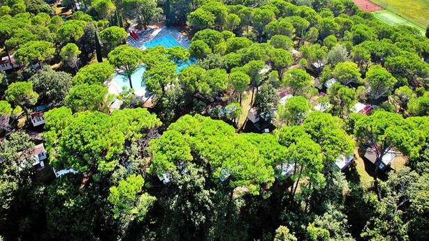 Mobile Home | View from property - Caravan Park Belvedere, Grado (Aquileia)