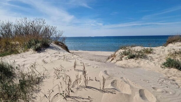 A sandy beach with sparse vegetation and a clear blue sky.