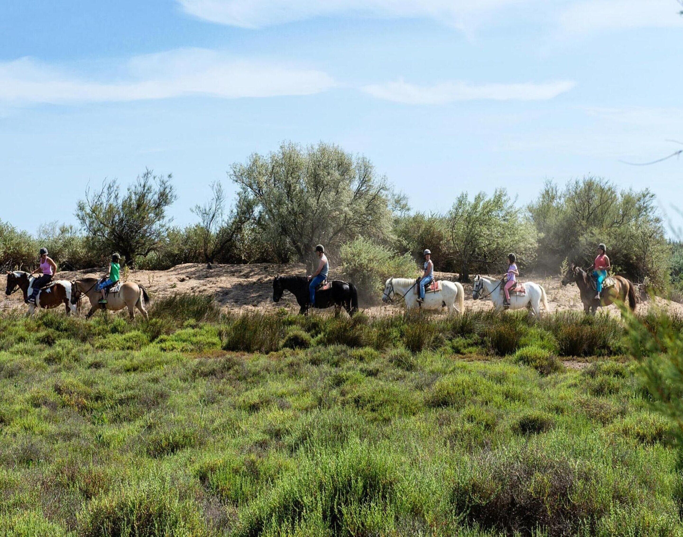 A group of people riding horses in a natural, open area with sparse vegetation and trees in the background.