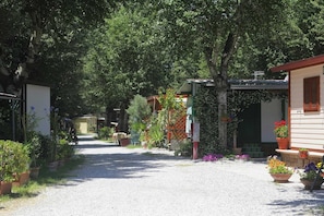 Asuntovaunu | Puutarha