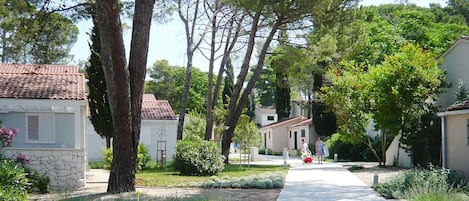 Mobile Home | Garden