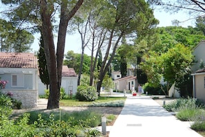 Jardín