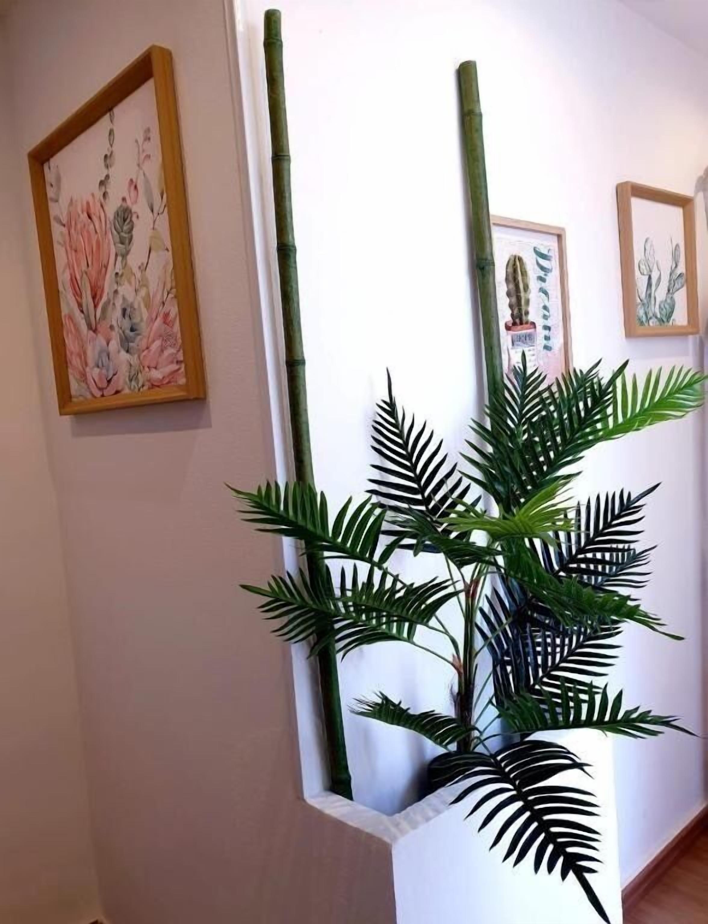 Photo - Lùrooms- Guesthouse in Noto