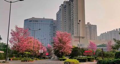 Five Star Luxury Flat in Leela Residence