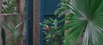 Anhien Hue homestay - A dreamy pink house nestled within a natural garden