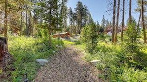 A forested path leading to a cabin with a deck, surrounded by tall trees and greenery.