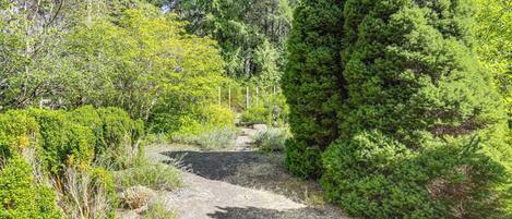 Cottage (1 Bedroom) | Interior