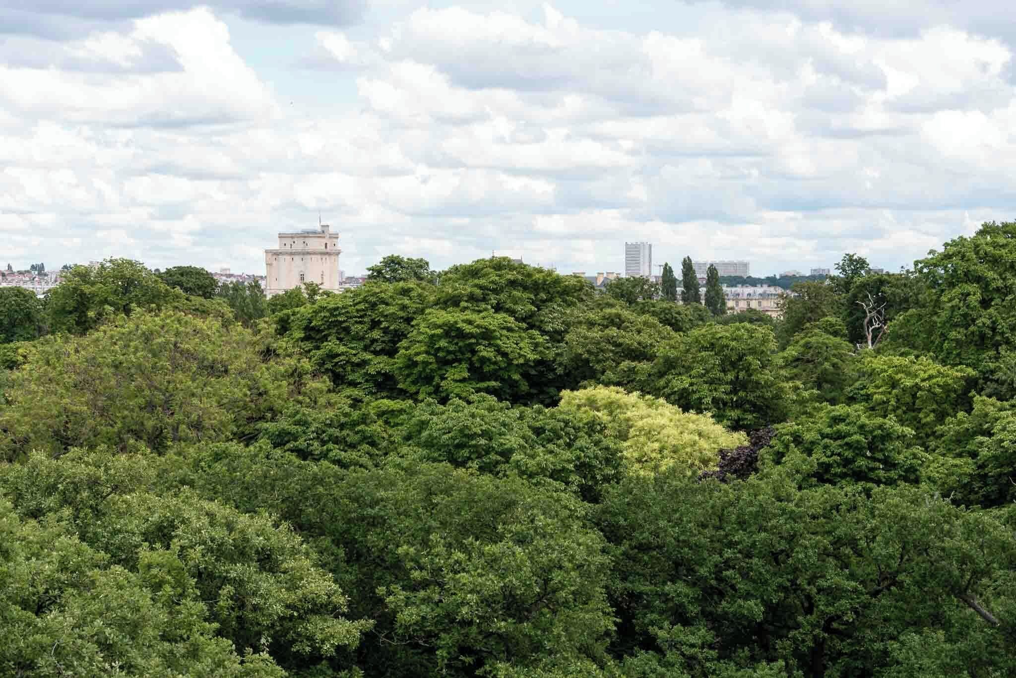 A dense forest with a historic building in the background.
