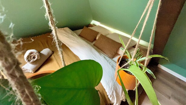 A small, cozy room with a bed, a hanging plant, and a towel on the floor. - Urban hut (Sarreguemines)