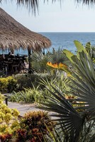 Un área de estar al aire libre con techo de paja, rodeada de plantas diversas y vistas al mar.