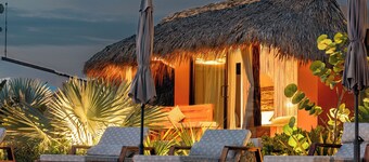 루 베 오아시스