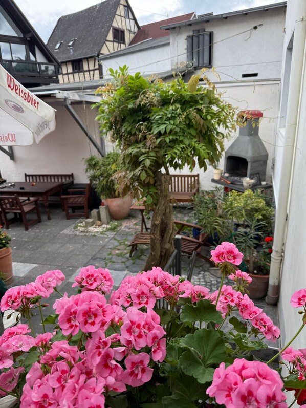 Terras