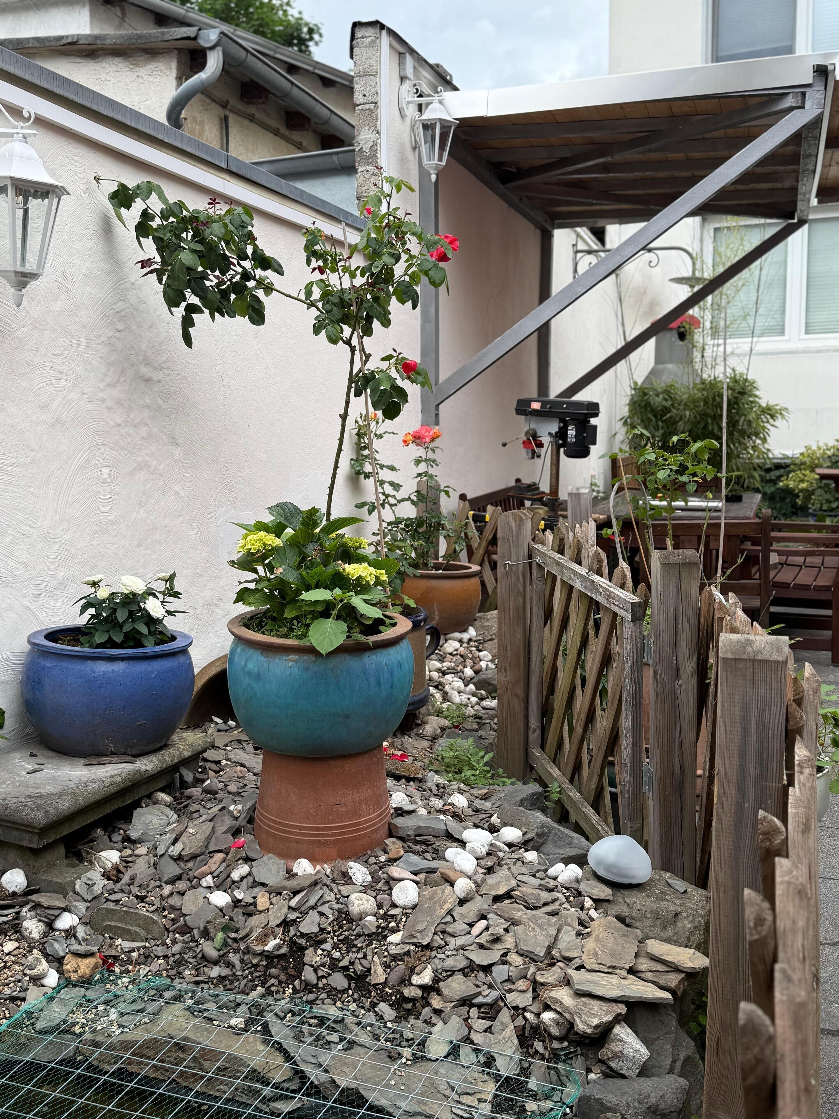 Un jardín con plantas en macetas, una valla de madera y una estructura metálica.