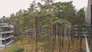 A modern building with a glass facade, surrounded by a dense forest of tall pine trees. - Puro - Modern Apartment by the Dunes (Trzebiatow)