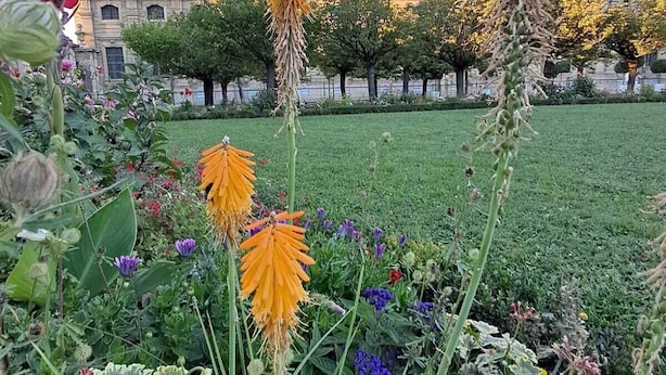 Een groot, historisch gebouw met klassieke architectuur, omgeven door een verzorgde tuin met verschillende bloemen en struiken.