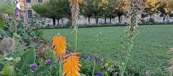 Vacation apartment near the center of Würzburg