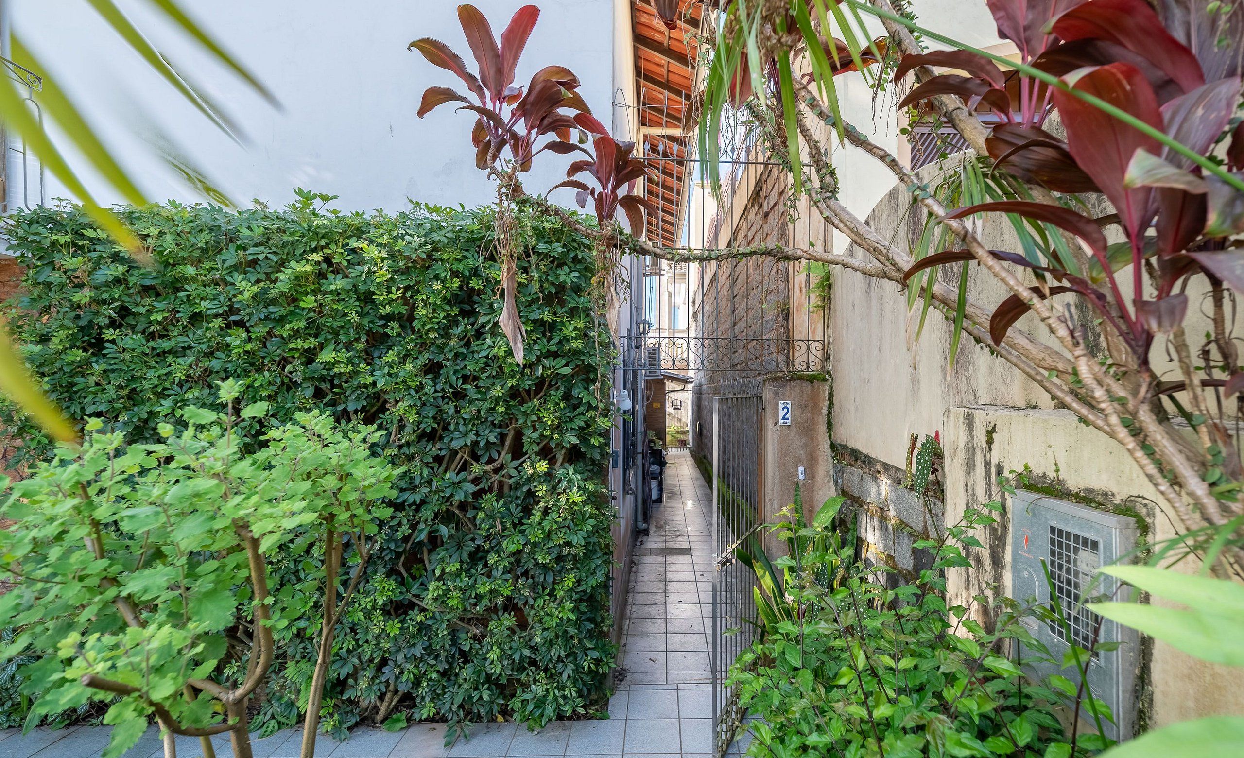 A narrow alleyway with dense foliage on both sides, leading to a gate.