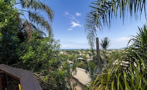A view from a balcony with dense foliage and a clear sky. - House With Pool and Skate Park Stm0500 (Florianópolis)