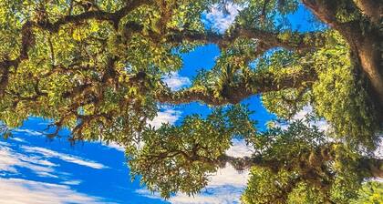 Hotel e Restaurante Heinz