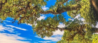 Hotel e Restaurante Heinz