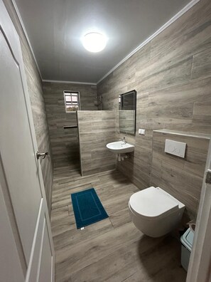 Shower, hair dryer, towels, toilet paper