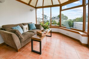 Televisión y chimenea 