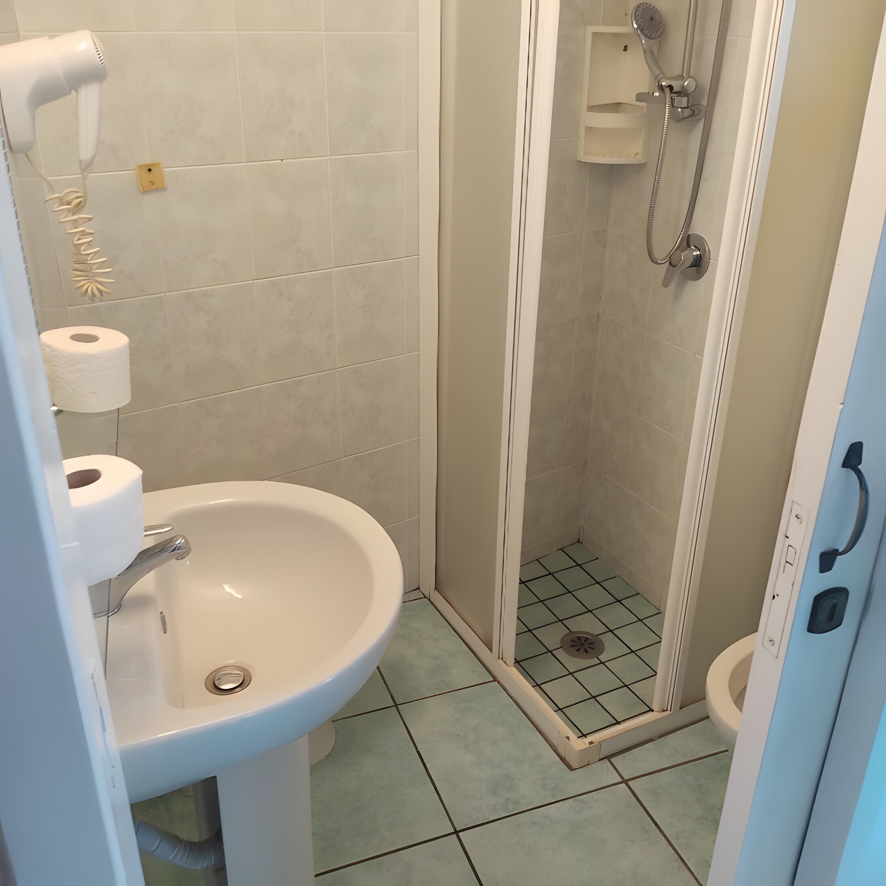 Shower, hair dryer, towels