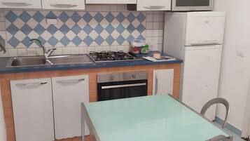 Fridge, oven, stovetop, cookware/dishes/utensils