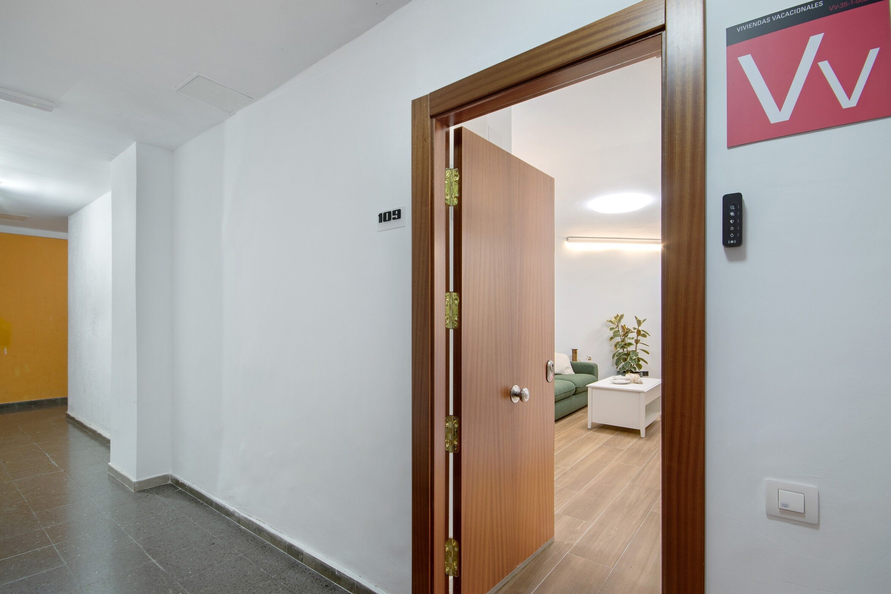 A hallway with a door leading to a room with a bed, a bedside table, and a plant.