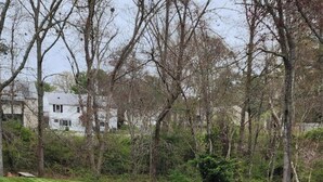 Un espacio cubierto de césped con tres sillas verdes y una rosa.