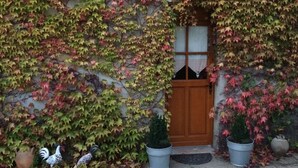 A stone building with a wooden door and window, surrounded by ivy. There are two potted plants and a bird figurine on the ground. - Chambre et table d'hôtes LE VERGER near Sancerre, Guédelon, Loire by bike, A77 motorway (Léré)