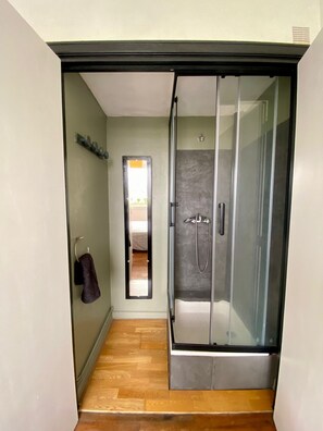 Shower, hair dryer, towels