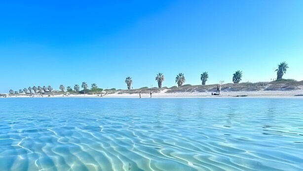 Agua poco profunda y transparente con patrones de arena visibles, una playa arenosa y vegetación escasa al fondo.