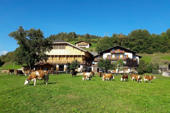 Exterior - Apartment 'Weitblick' with Mountain View, Shared Pool and Wi-Fi (Kastelruth)