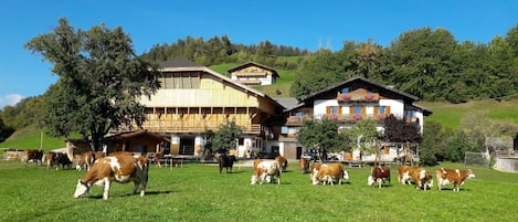 Außenbereich