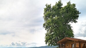 Una cabaña de madera con un árbol grande al frente, rodeada por un paisaje cubierto de hierba y colinas al fondo.