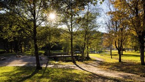 A park with a paved path, benches, and a bridge over a body of water. - Vacation apartment Am Park (Schmallenberg)