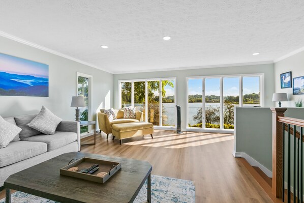 TV, fireplace, books