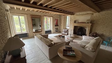 Smart TV, chimenea, reproductor de DVD y libros