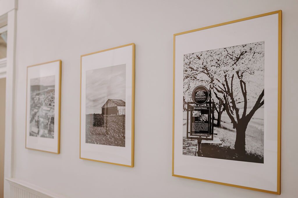 Three framed photographs on a wall, each with a gold frame.