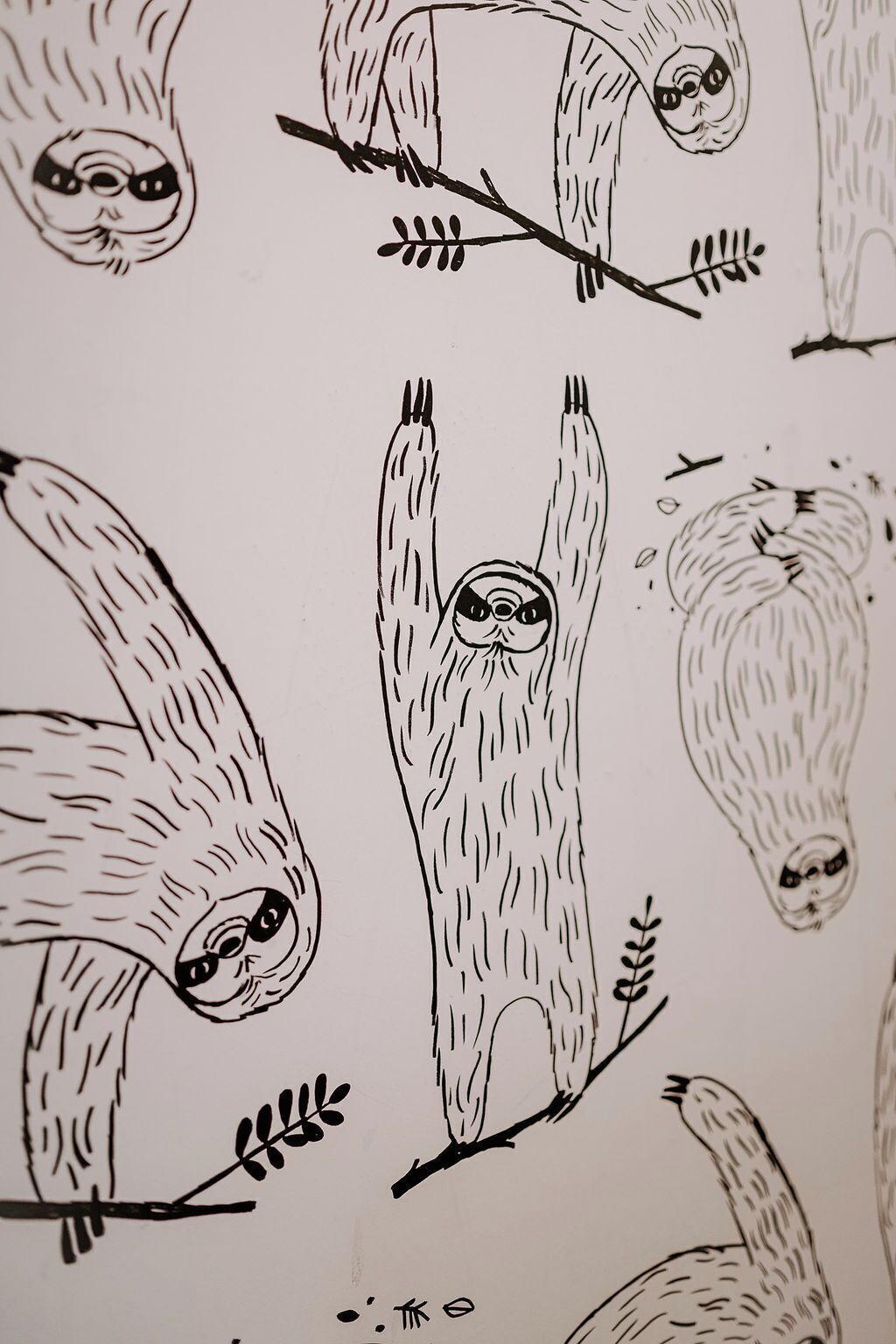 A series of sloth illustrations on a white background.