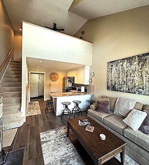 TV, fireplace, DVD player, books