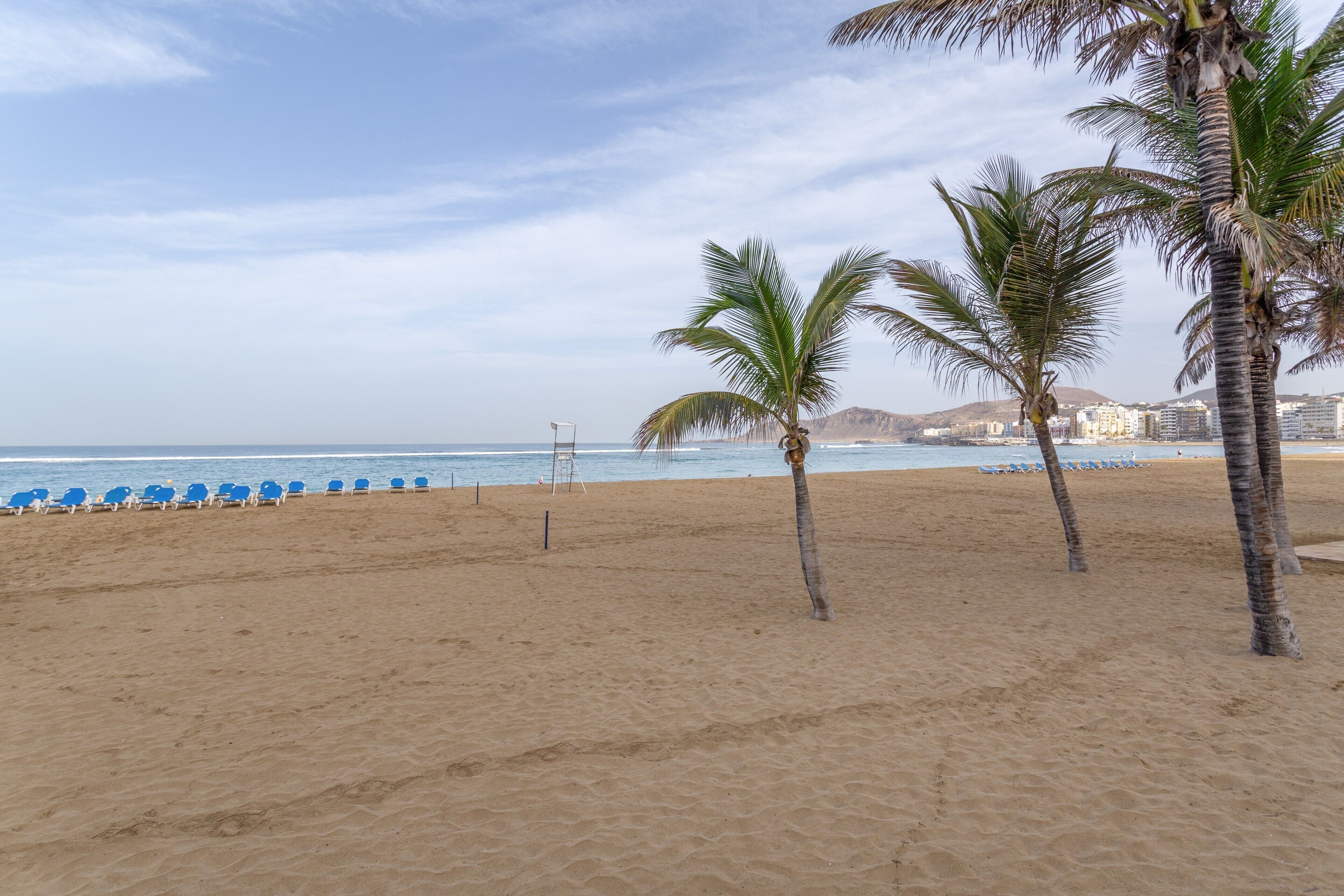A beach with palm trees, blue lounge chairs, and a clear sky.