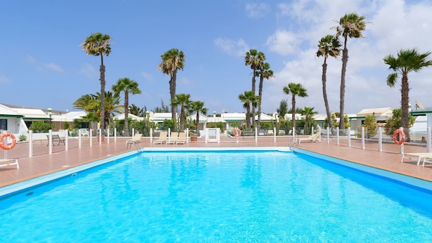 Une piscine d’un bleu éclatant, avec des chaises longues et des palmiers.